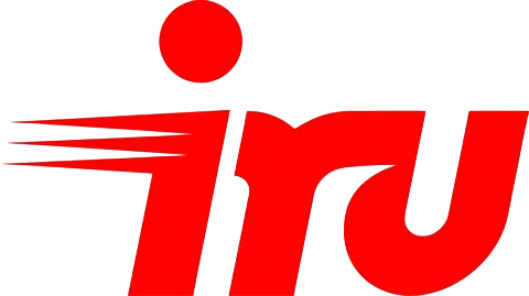 Ремонт мониторов iru